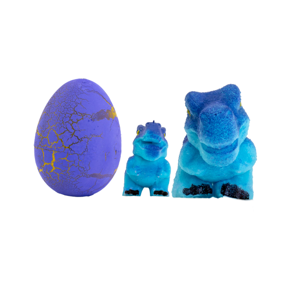 GROW UP DINSAUR EGGS - Image 8